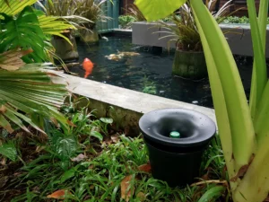 Combatendo a dengue com inovação: O impacto transformador do dispositivo In2Care®